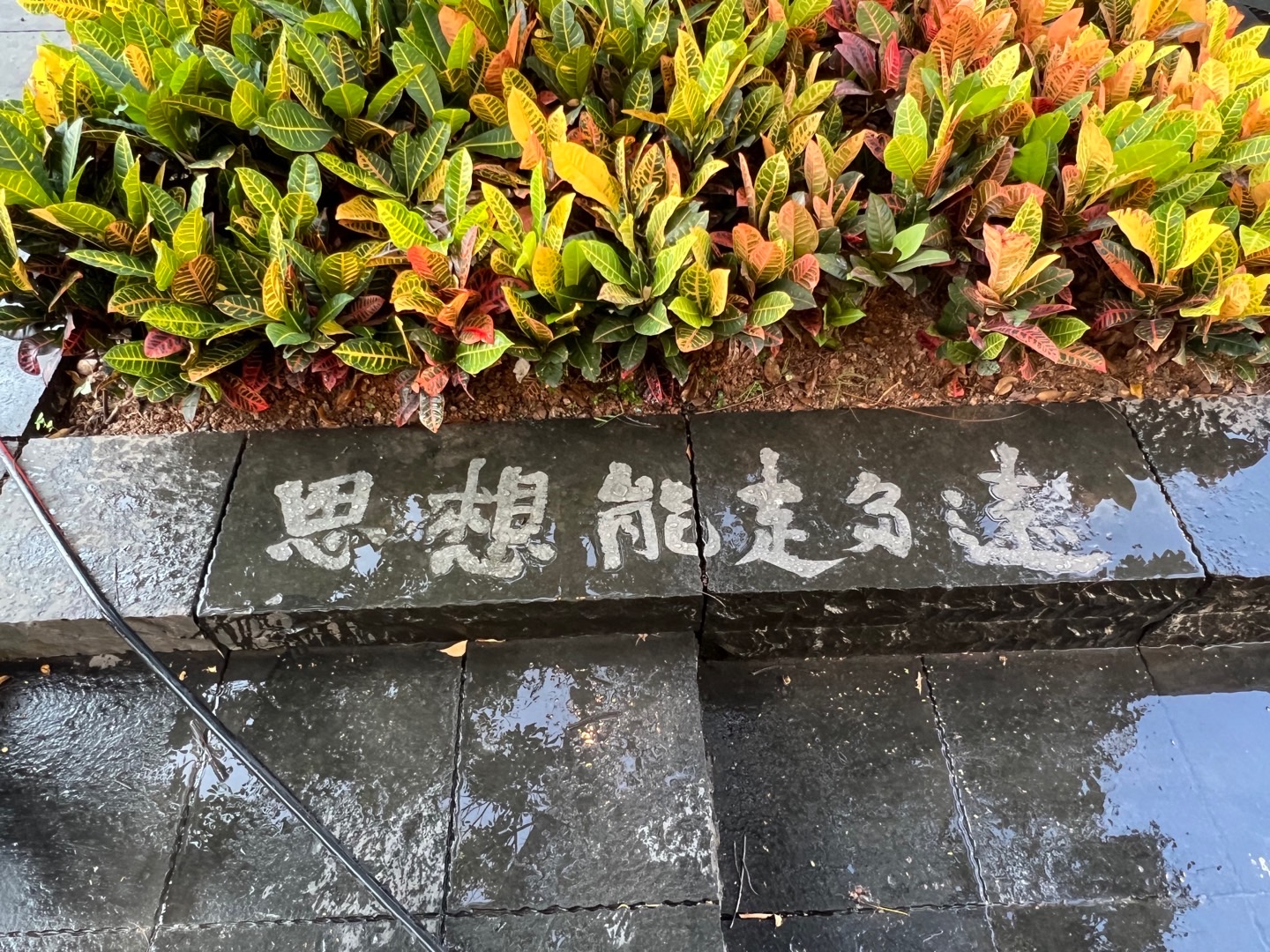 《等待一场雨》超疏水材料书法展，2023年7月，深圳南头古城